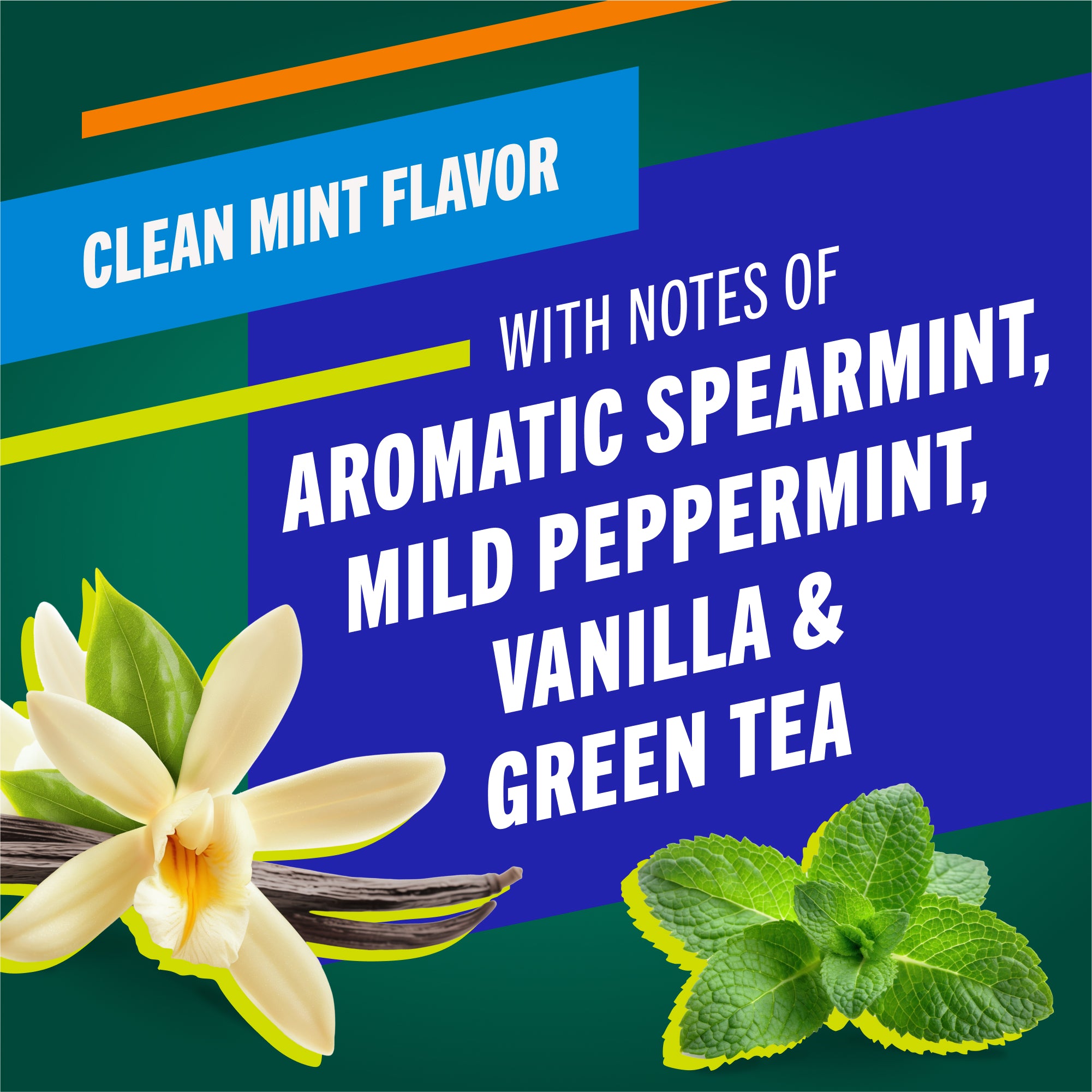 TheraBreath Healthy Gums Toothpaste. Helps Fight Gingivitis. Clean Mint - Image 4